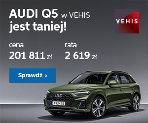 vehis leasing